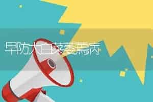 早防大白菜萎蔫病