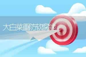 大白菜重防软腐病