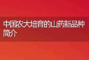 中国农大培育的山药新品种简介
