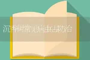 沉香树常见病虫害防治