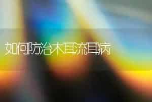 如何防治木耳流耳病