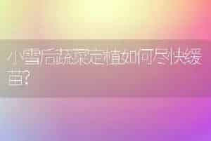 秋季露地大白菜软腐病的综合防治技术