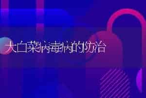 大白菜病毒病的防治