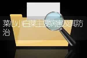 菜心小白菜主要病害及其防治