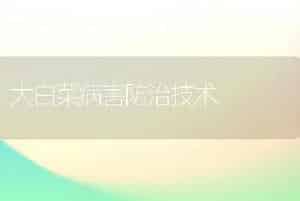 大白菜病害防治技术