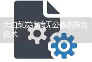 大白菜炭疽病无公害的防治技术