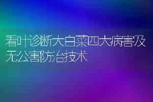 看叶诊断大白菜四大病害及无公害防治技术