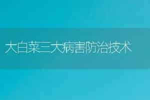 大白菜三大病害防治技术