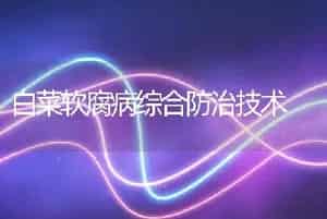 白菜软腐病综合防治技术