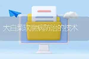 大白菜软腐病防治的技术