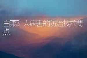 白菜3大病害的防治技术要点