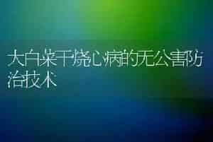 大白菜干烧心病的无公害防治技术