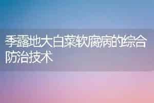 季露地大白菜软腐病的综合防治技术