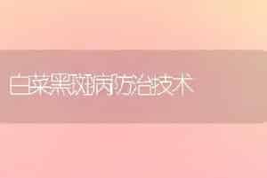 白菜黑斑病防治技术