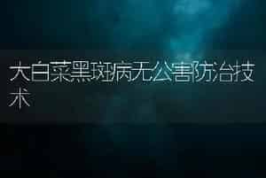 大白菜黑斑病无公害防治技术