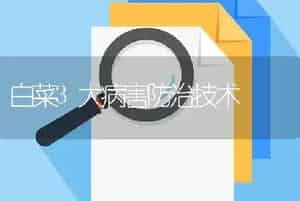 白菜3大病害防治技术