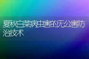 夏秋白菜病虫害的无公害防治技术