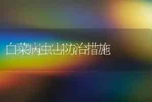 白菜病虫害防治措施
