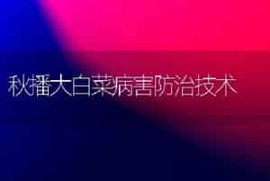 秋播大白菜病害防治技术