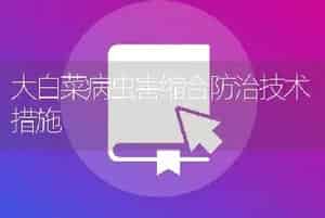 大白菜病虫害缩合防治技术措施
