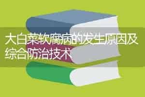 大白菜软腐病的发生原因及综合防治技术
