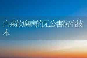 白菜软腐病的无公害防治技术