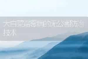 大白菜霜霉病的无公害防治技术