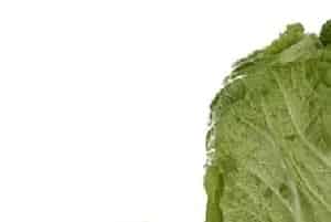 白菜腐烂是什么病引起的？防治方法有哪些