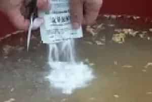 药剂浸种应该注意什么？