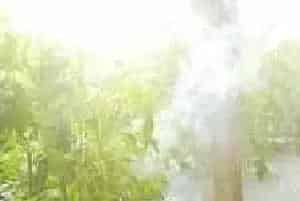 怎样使用烟剂防治温室病虫害