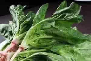 关于菠菜提升产量的种植技术和施肥技巧