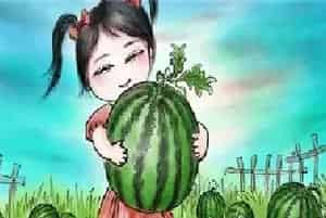 中牟西瓜上市时间是什么时候？为什么这么火？