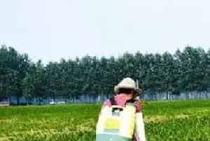 怎么喷施农药效果好？混配技术来了解下