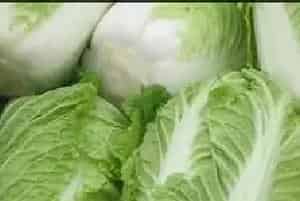 白菜根肿病危害及防治方案