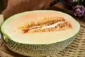 网纹瓜产地在哪里？