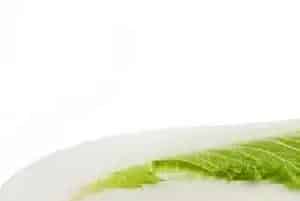 白菜软腐病症状及防治方法