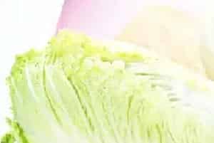 白菜枯黄是什么病害？白菜根腐病防治方法