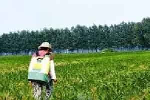 怎么喷施农药效果好？混配技术来了解下