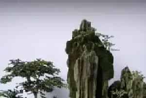 川派盆景 | 川派盆景艺术历史渊源