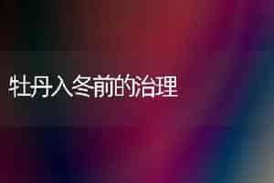 牡丹入冬前的治理