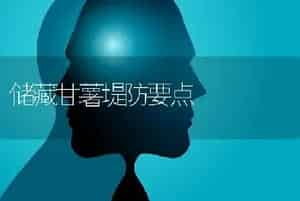 储藏甘薯堤防要点