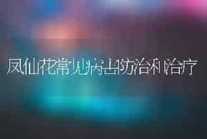 凤仙花常见病害防治和治疗