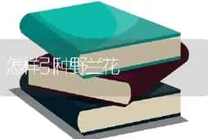 怎样引种野兰花