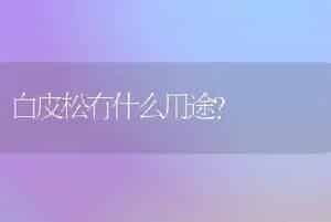 防正人兰“砍头”