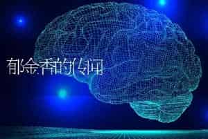 郁金香的传闻