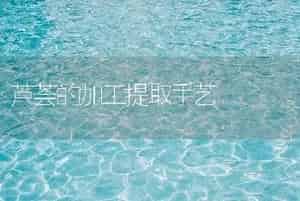 芦荟的加工提取手艺