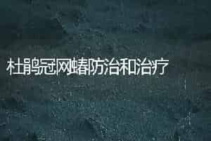 杜鹃冠网蝽防治和治疗