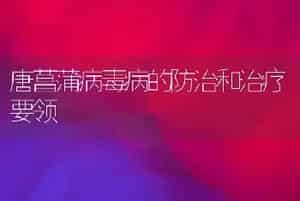 唐菖蒲病毒病的防治和治疗要领