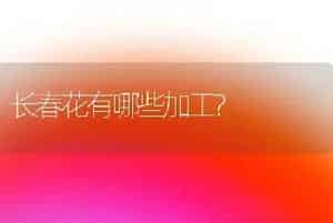长春花有哪些加工?