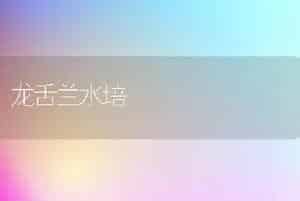 龙舌兰水培